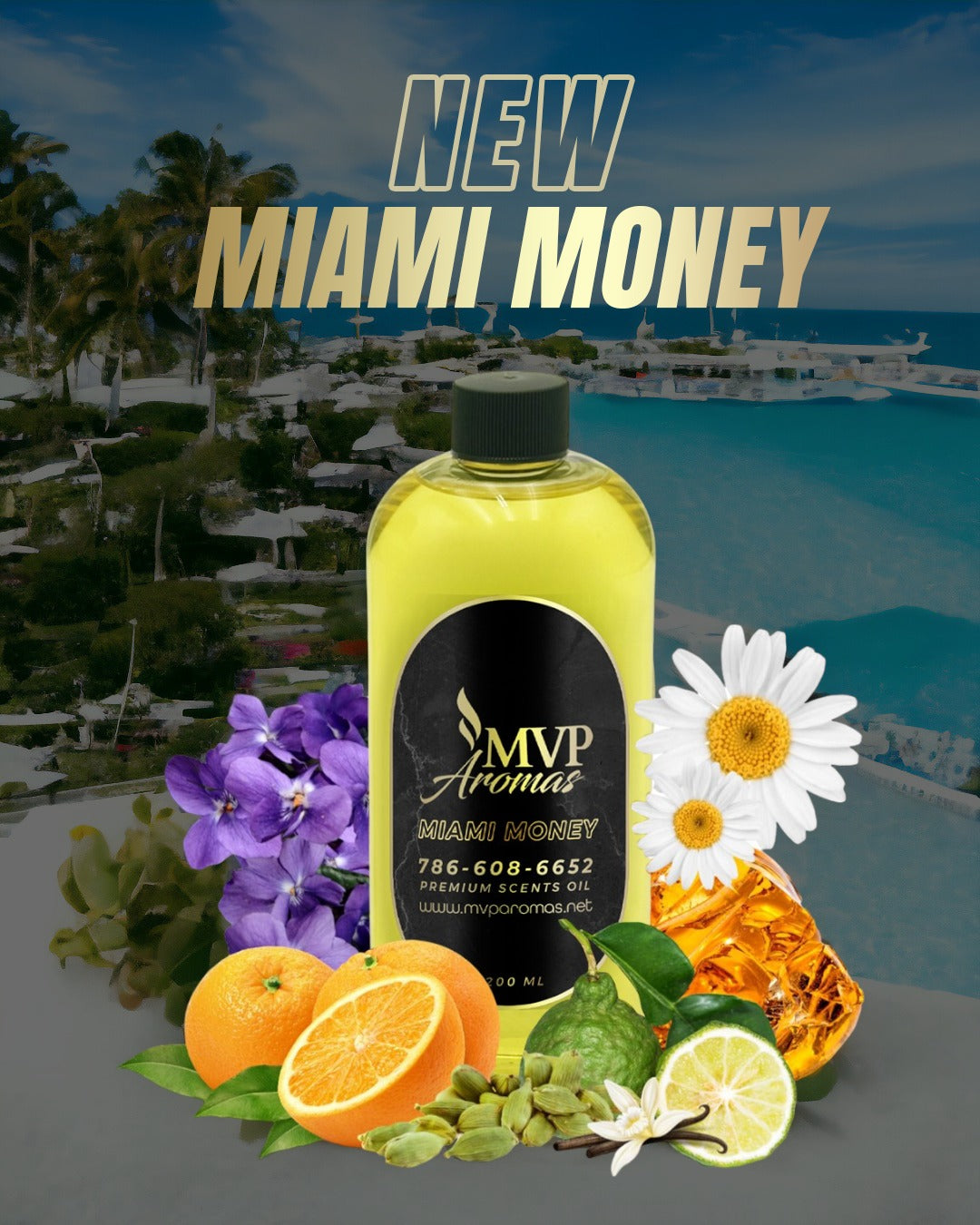 (BEST SELLING) MIAMI MONEY SCENT ✨